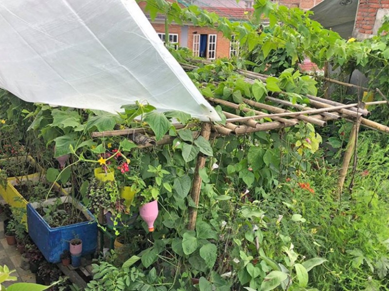 दोस्रो ‘कौसी क्विन २०७८’ प्रतियोगिता हुने